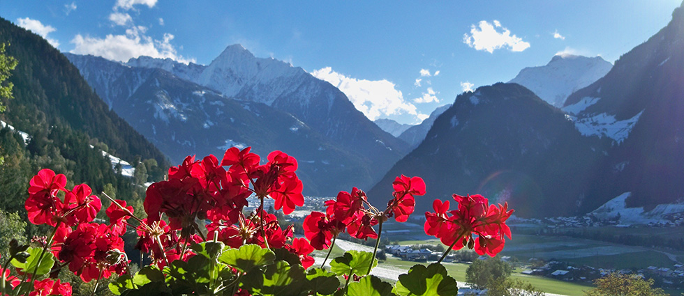 Grandiose Aussicht auf die Berge und Richtigung Mayrhofen