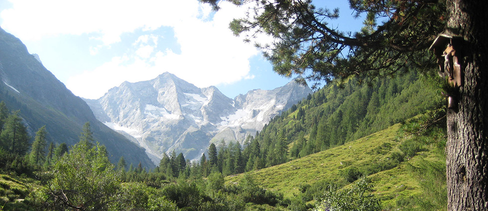 High Alpine Nature Park of the Zillertal Alps